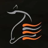Dolphin logo