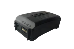 Gosafe G1S